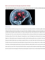 Bệnh sa sút trí tuệ mạch não đang ngày càng phổ biến ở việt nam 