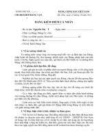bảng kiểm điểm cá nhân