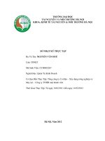 nhật ký thực tập tại Tổng công ty Cơ điện – Xây dựng nông nghiệp và thủy lợi  Công ty TNHH một thành viên