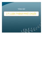 Trình bày lý luận thành phố chuỗi 