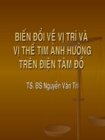 Biến Đổi Về Vị Trí Và Vị Thế Tim Ảnh Hưởng Trên Điện Tâm Đồ
