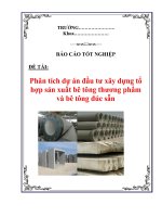Báo cáo phân tích dự án đầu tư xây dựng tổ hợp sản xuất bê tông thương phẩm và bê tông đúc sẵn 