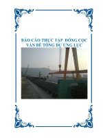 Báo cáo thực tập đóng cọc ván bê tông dự ứng lực 