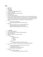 đặc điểm, phân loại của giới nấm