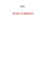 Tổng quan probiotic