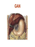 GAN đại học y hà nội