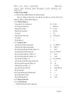 Tiểu luận nghiên cứu sử dụng khí biogas trên động cơ HONDA GX110 