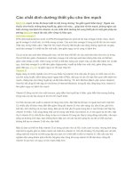 Các chất dinh dưỡng thiết yếu cho tim mạch 