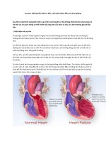 Suy tim những hiểu biết cơ bản, cách phát hiện, điều trị và dự phòng