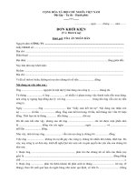 Mẫu đơn khởi kiện đòi nợ