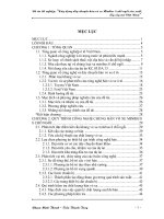 Khóa luận xây dựng dây chuyền hàn vỏ xe minibus 8 chỗ ngồi sản xuất, lắp ráp tại việt nam 