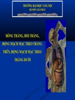 ruột đại học y hà nội