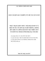 Kiến thức, hành vi và một số yếu tố liên quan về phòng, chống HIVAIDS trên nhóm đồng bào dân tộc thiểu số tại thành phố buôn ma thuột, tỉnh đăk lăk, năm 2012 