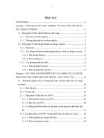 Khóa luận xác định chi phí nhiên liệu của động cơ d12 khi sử dụng hỗn hợp nhiên liệu diesel –dầu thực vât 