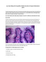 Lựa chọn kháng sinh trong điều trị bệnh lý dạ dày tá tràng do helicobacter pylori