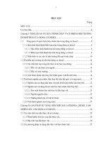 Khóa luận nghiên cứu giải pháp sử dụng hỗn hợp dầu jatropha và dầu diesel làm nhiên liệu cho động cơ diesel 