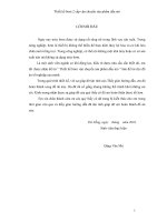 Khóa luận thiết kế bơm 2 cấp vận chuyển sản phẩm dầu mỏ