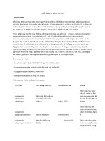 Chẩn đoán và xử trí rết cắn