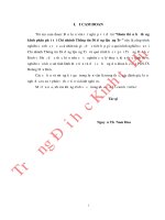 Hoàn thiện hệ thống kênh phân phối tại Chi nhánh Thông tin Di động Quảng Trị