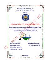 Thực trạng và giải pháp nhằm nâng cao hiệu quả hoạt động thanh toán quốc tế tại Công ty Cổ phần chế biến gỗ Thừa Thiên Huế