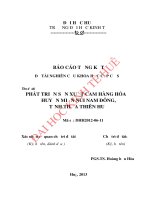 Phát triển sản xuất cam hàng hóa ở huyện Nam Đông, tỉnh Thừa Thiên Huế