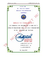 Giải pháp đẩy mạnh tiêu thụ sản phẩm tại Công ty trách nhiệm hữu hạn một thành viên Đại Dương Kính - Quảng Nam