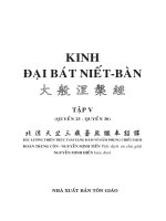 Kinh Đại Bát Niết Bàn Tập V