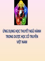 Ứng dụng học thuyết ngũ hành trong dược học cổ truyền Việt Nam