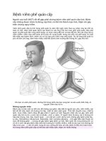 Bệnh viêm phế quản cấp