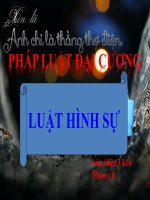 slide luật hình sự pháp luật đại cương