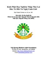 Kinh Phật Hoa Nghiêm Nhập Như Lai Đức Trí Bất Tư Nghị Cảnh Giới