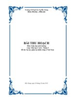 BÀI THU HOẠCH Môn Giáo dục môi trường Sự suy giảm tự nhiên rừng ở Việt Nam