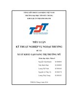 Xuất khẩu gạo sang thị trường Mỹ  Kỹ năng nghiệp vụ ngoại thương