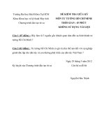 ĐỀ KIỂM TRA GIỮA KỲ