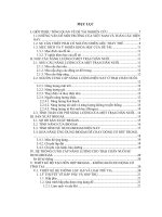 Khóa luận nghiên cứu sử dụng khí biogas để chạy động cơ máy phát điện ở trại chăn nuôi 