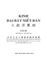 Kinh Đại Bát Niết Bàn Tập III