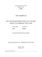 Các tội phạm trong lĩnh vực tin học theo luật hình sự việt nam 