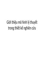 Giới thiệu mô hình lý thuyết trong thiết kế nghiên cứu