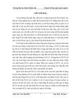 Hoàn thiện kế toán nguyên liệu, vật liệu  tại Công ty Cổ phần Xây lắp Điện