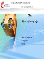 pp chiến lược quảng cáo cho sản phẩm mới