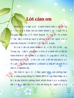 Ảnh hưởng của mức độ thỏa mãn công việc đến sự gắn kết của công nhân viên với tổ chức tại công ty TNHH một thành viên cảng chân mây 