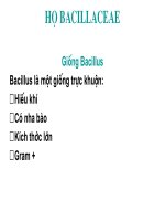 Bệnh nhiệt thán