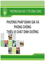 Bài giảng phòng chống thiếu vi chất