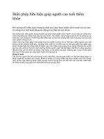 Biện pháp hữu hiệu giúp người cao tuổi thêm khỏe