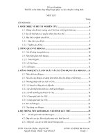 Khóa luận thiết kế xe ba bánh chạy bằng biogas phục vụ vận chuyển ở nông thôn 