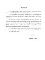 Kế toán nghiệp vụ vốn bằng tiền  tại Công ty TNHH một thành viên Xi măng Lâm Nghiệp