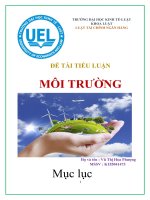 tiểu luân về ô nhiễm môi trường