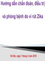 Hướng dẫn chẩn đoán, điều trị và phòng bệnh do vi rút zika