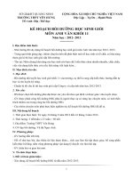 ke hoach boi duong phu dao hsg nam 20121