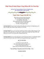 Phật Thuyết Kinh Phạm Võng Phẩm Bồ Tát Tâm Địa